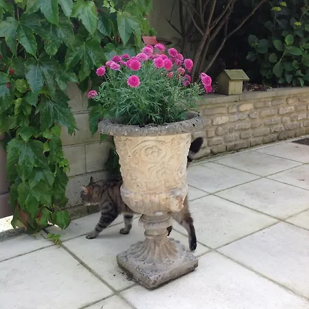 L'home Du Monde ベッド・アンド・ブレックファスト