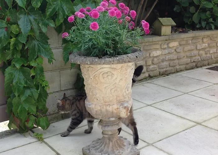 L'home Du Monde Bed & Breakfast