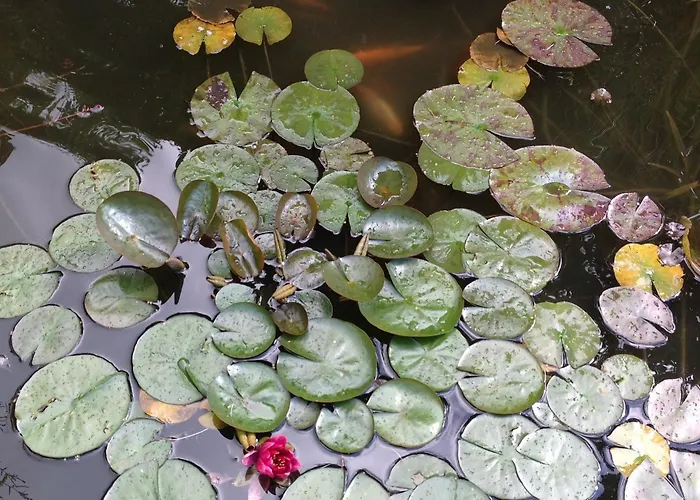 L'home Du Monde Bretteville-l'Orgueilleuse